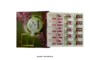 NC24 800000MG professional skincare product – Beauderm International